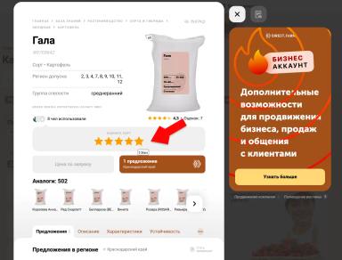 Топ сортов картофеля