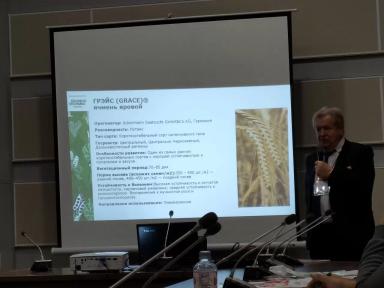 Грэйс (GRACE) сорт ярового ячменя Эко Нива семена