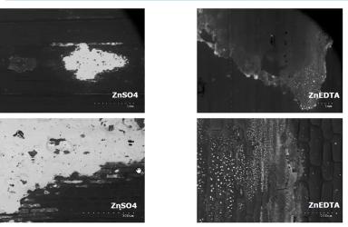 Микроэлементы в питании растений