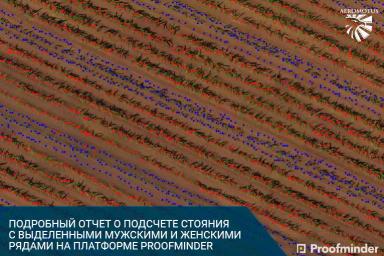 Высокоточный подсчет густоты стояния и высоты растений с помощью беспилотника