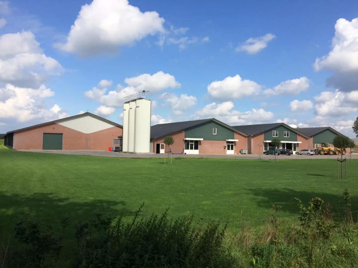 Проектирование козьих ферм: инновации и возможности