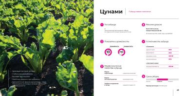 Цунами