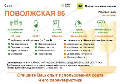 Поволжская 86 сорт мягкой озимой пшеницы