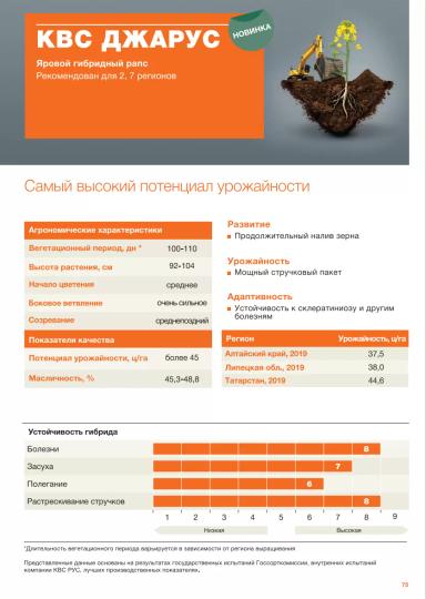 КВС Джарус гибрид рапса ярового