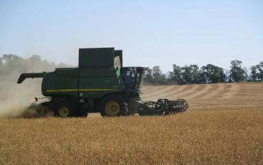 ПРОДОЛЖАЕТСЯ УБОРКА ГОРОХА