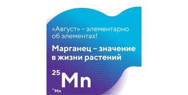 Элементарно об элементах: марганец