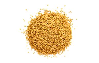 Горлинка ® - сорт сарептской горчицы  (Brassica juncea (L.) Czern.).