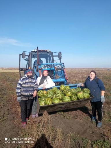 Разбор полетов 2023. Бахча