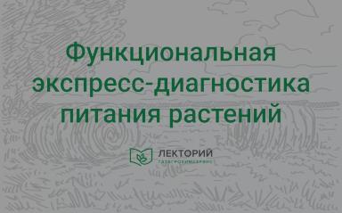 🌾 Как определить дефицит питания у растений? 