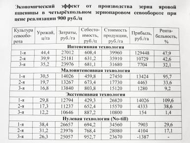 Экономическая эффективность различных технологий выращивания яровой пшеницы