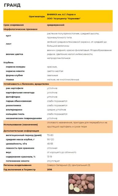 Гранд сорт картофеля