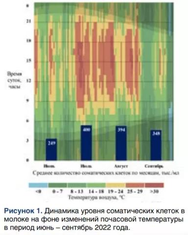 Влияние фитобиотиков на количество соматических клеток при тепловом стрессе