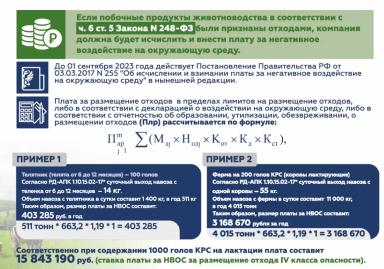 Самое важное из закона “О побочных продуктах животноводства”