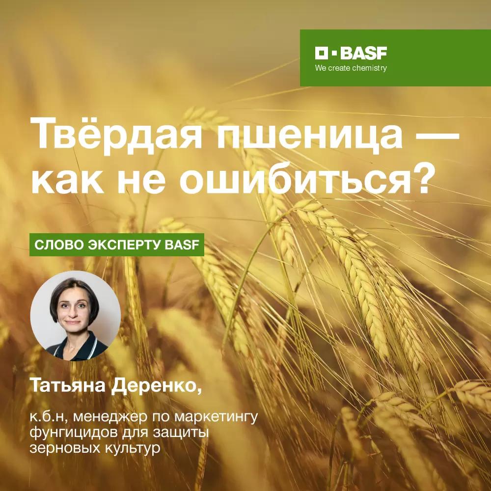 Твёрдая пшеница - как не ошибиться?