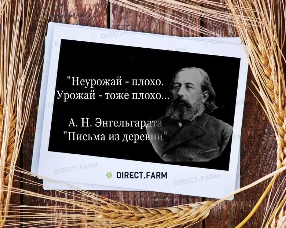 Текст книги "Письма из деревни".