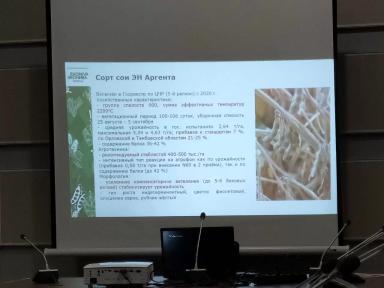 ЭН Аргента соя