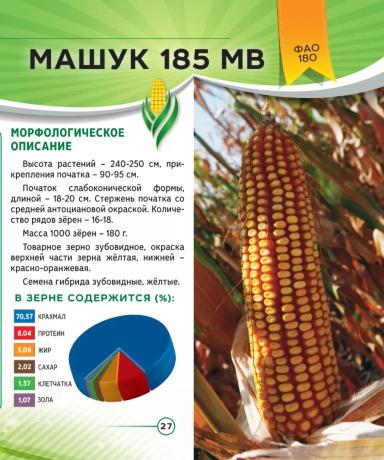 Машук 185 МВ