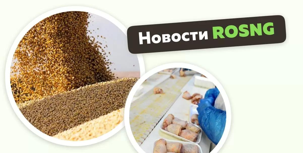 Обзор новостей за 12 декабря