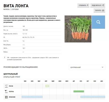 Вита Лонга (VITA LONGA)