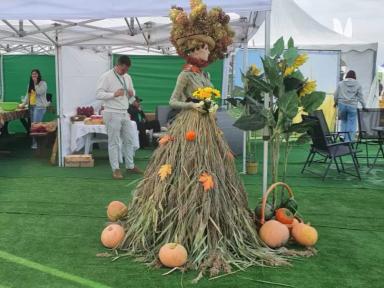 ГК «Гекса» на «Дне поля» в Приморье