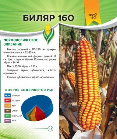 Биляр 160