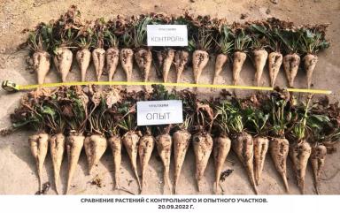 Листовые подкормки продуктами SOLAR NPK micro. Опыт на сахарной свекле.