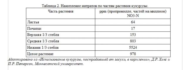 Силос из кукурузы, подвергшейся засухе: чего ожидать?