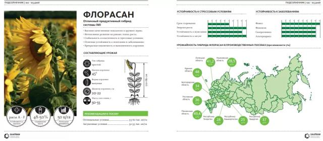 Флорасан  - гибрид подсолнечника (Helianthus annuus L.).