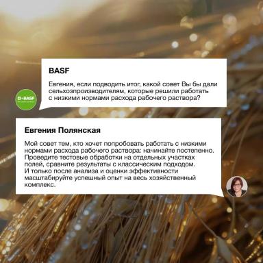 Процесс опрыскивания как часть прибыльного земледелия