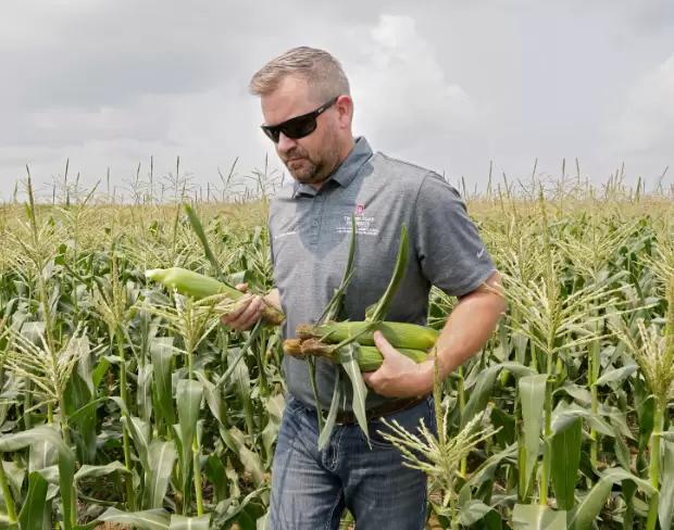 Семь типов аграриев. А вы какой?