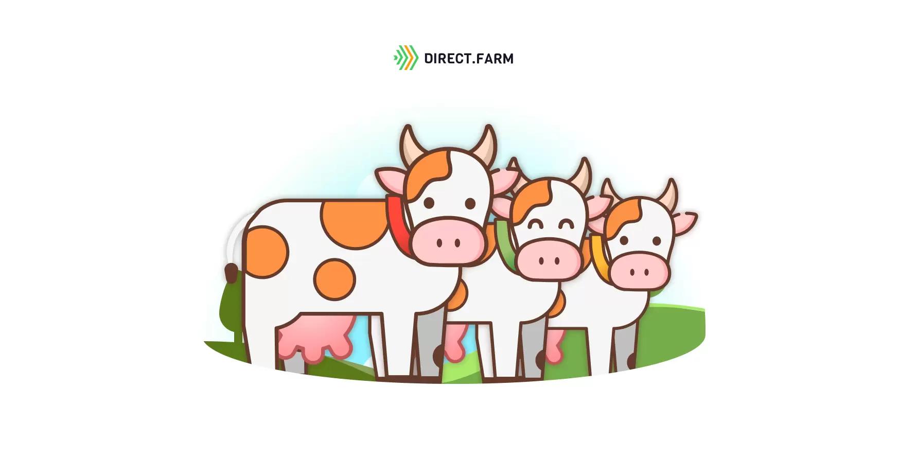 Способы визуальной идентификации коров