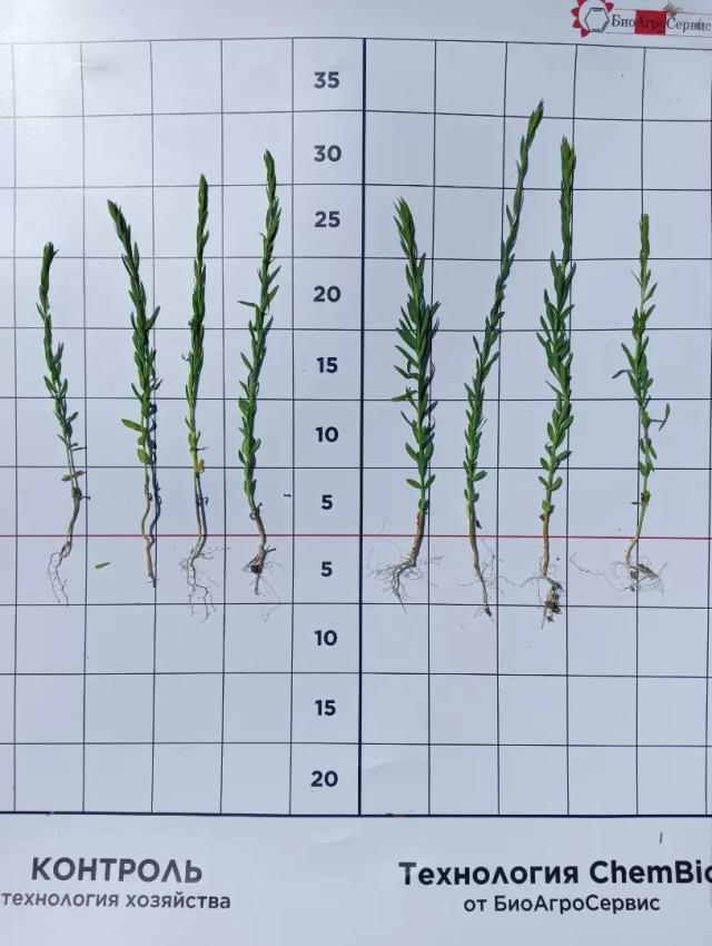 Осмотр полей 26.05.Ставропольский край, Георгиевский район.