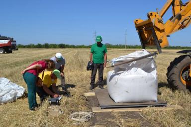 Пшеница завершила дистанцию на орошении и богаре на Агрополигоне "Приволжье"