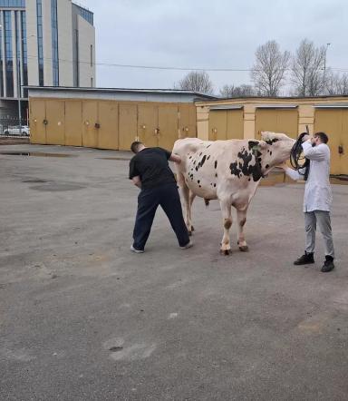 Обзор новостей за 23 апреля