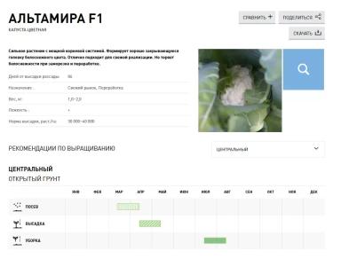 Альтамира  F1 (ALTAMIRA)