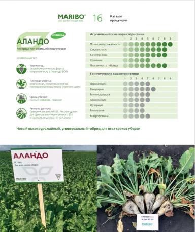 Аландо (ALANDO)