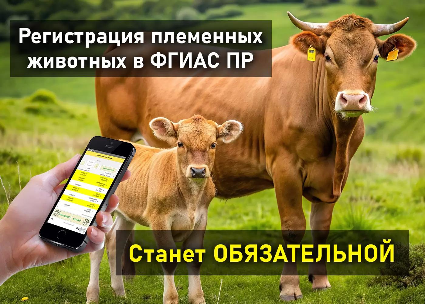 Регистрация племенного поголовья станет обязательной с 1 марта 2026 года