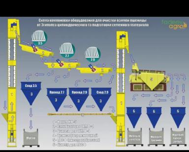 Очистка пшеницы от Эгилопса цилиндрического