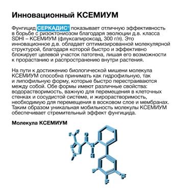 Надёжная защита от ризоктониоза