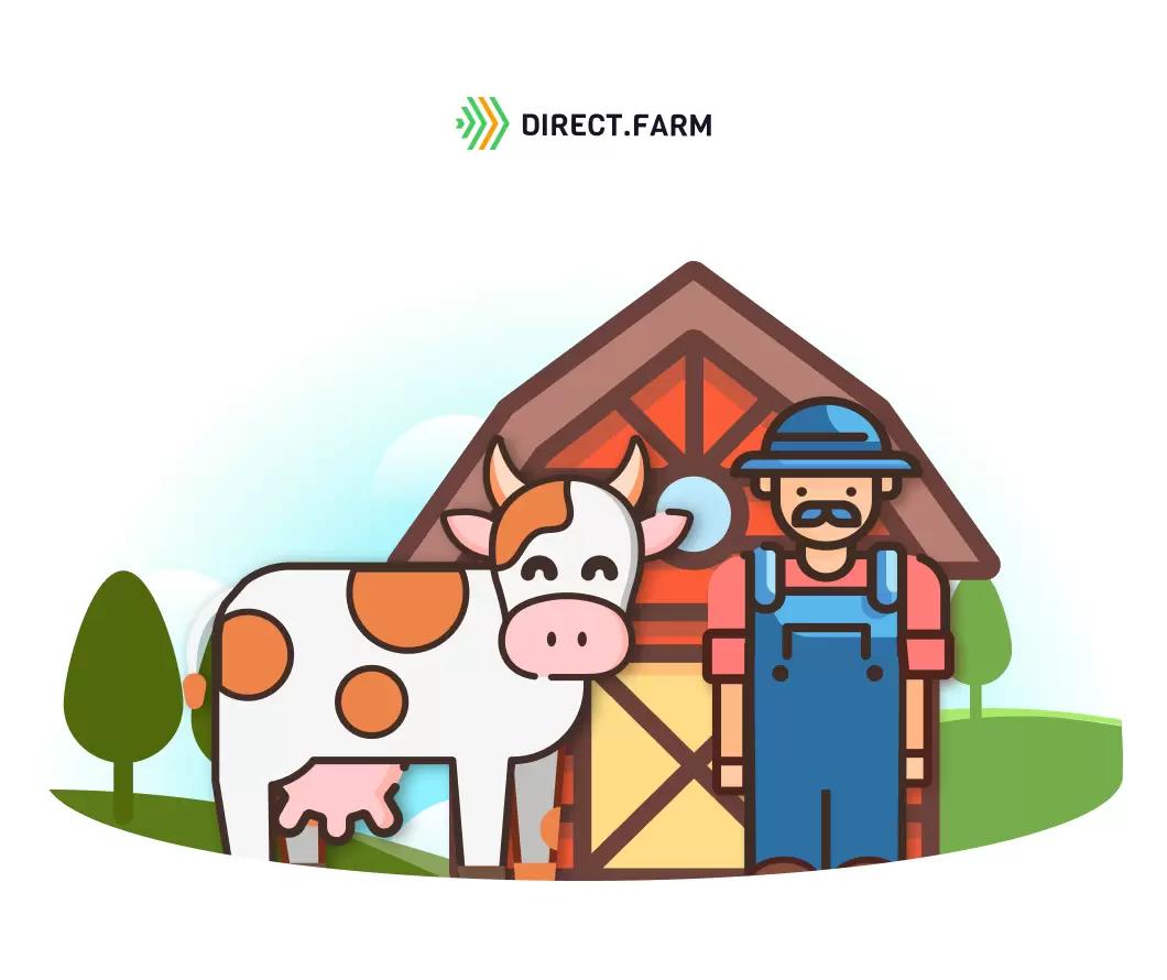 ТОП-8 статей по улучшению условий содержания молочных коров