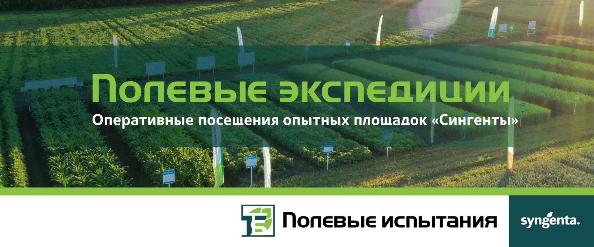 Новый формат полевых мероприятий от компании Syngenta 