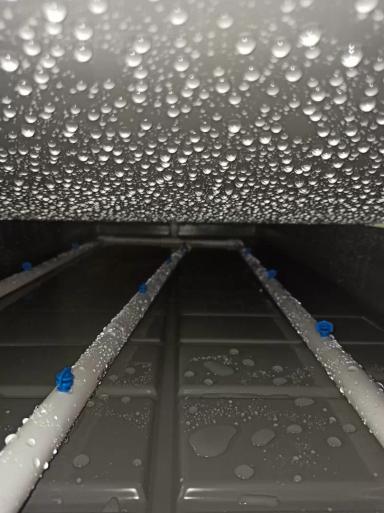 Аэропоника: руководство по выращиванию растений без почвы