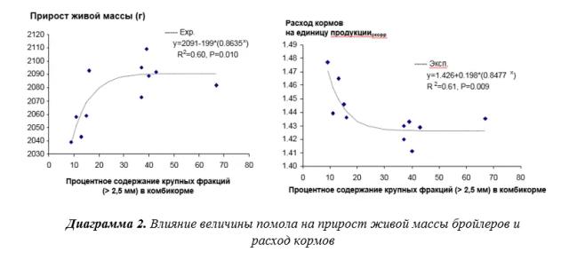 Кормление птицы без использования антибиотиков
