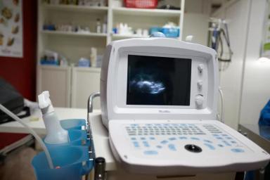 «Основы технологии искусственного осеменения крупного рогатого скота»