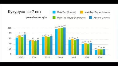 Защита кукурузы