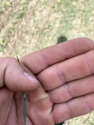 Приветствую 