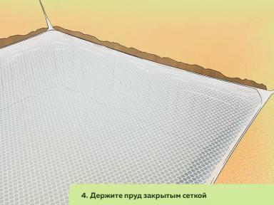 Как организовать ферму по разведению пресноводных раков. Часть 2