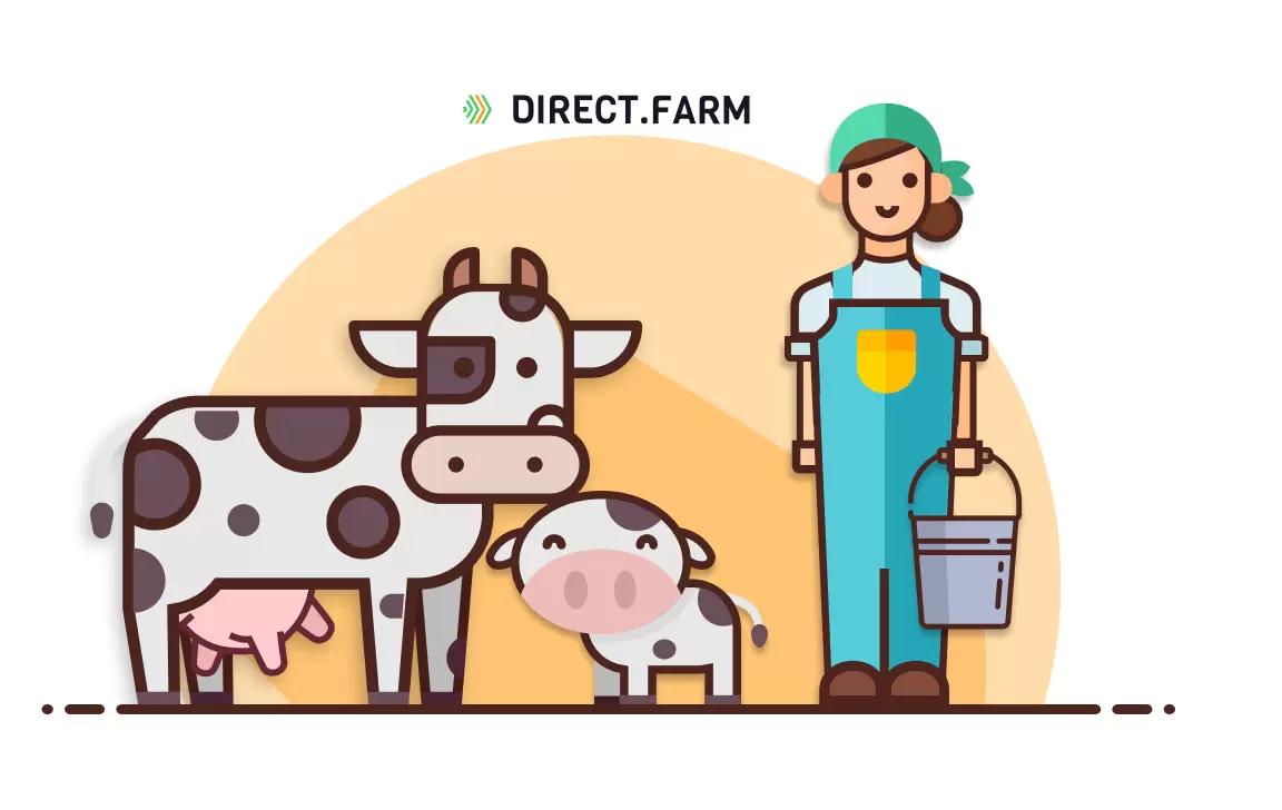 Раздой новотельных коров