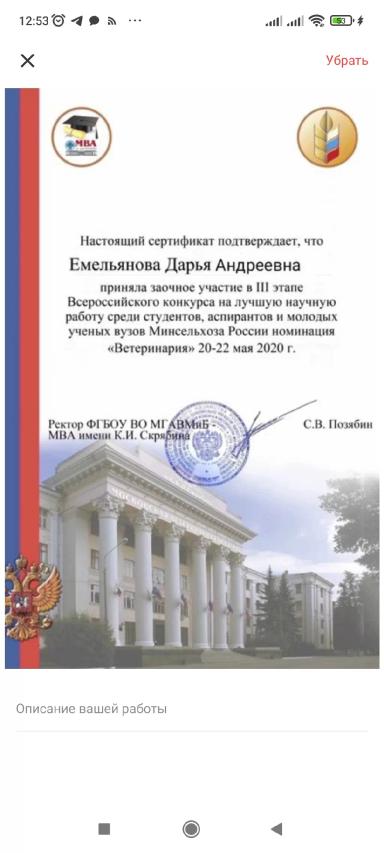 Резюме: Люблю обучаться новым знаниям, с лёгкостью учусь на практике.