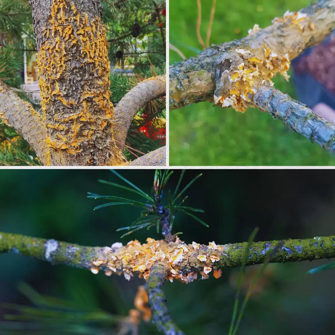 Зима – не время для сна❄